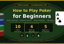 How to Play Poker for Beginners — Illustrated guide showing poker hand rankings, betting rounds and beginner strategies with playing cards and chips on AllWinPoker.com