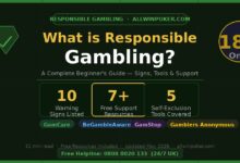 What is Responsible Gambling? Beginner's guide infographic showing warning signs, self-exclusion tools and free UK support resources including GamCare and BeGambleAware — AllWinPoker.com